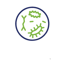 anatomocytopathologie