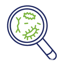 MICROBIOLOGIE_Plan de travail 1